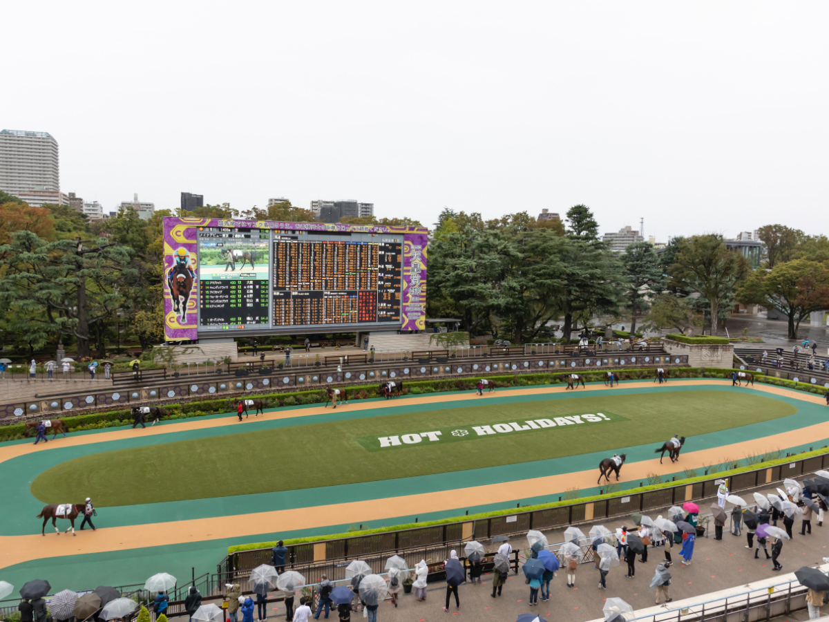 東京競馬場のパドック(撮影：橋本健)