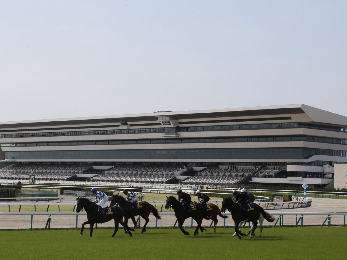 2023年3月30日撮影、新装オープンを果たした京都競馬場(c)netkeiba