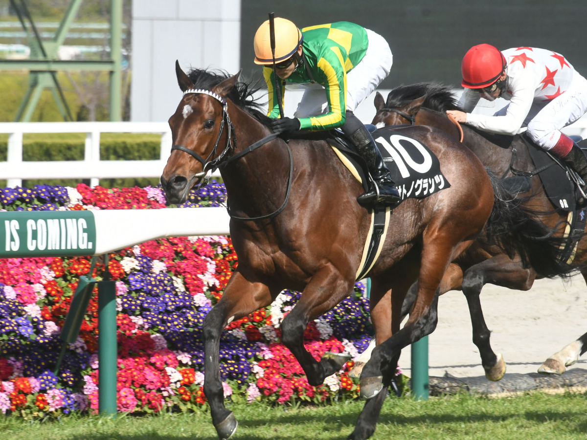 【京都新聞杯2023予想】京都芝2200mで好成績の騎手は？ /競馬予想データまとめ