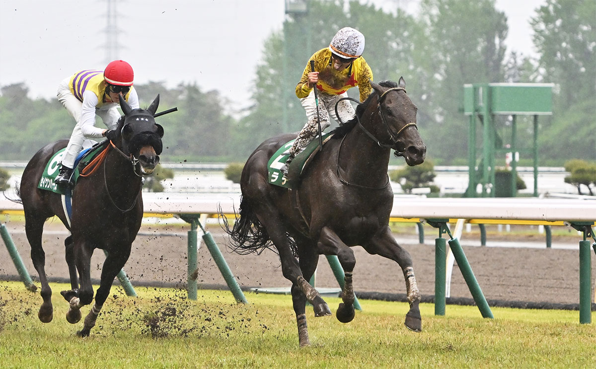 【新潟大賞典 結果情報】内を突いたカラテが道悪苦にせず重賞3勝目