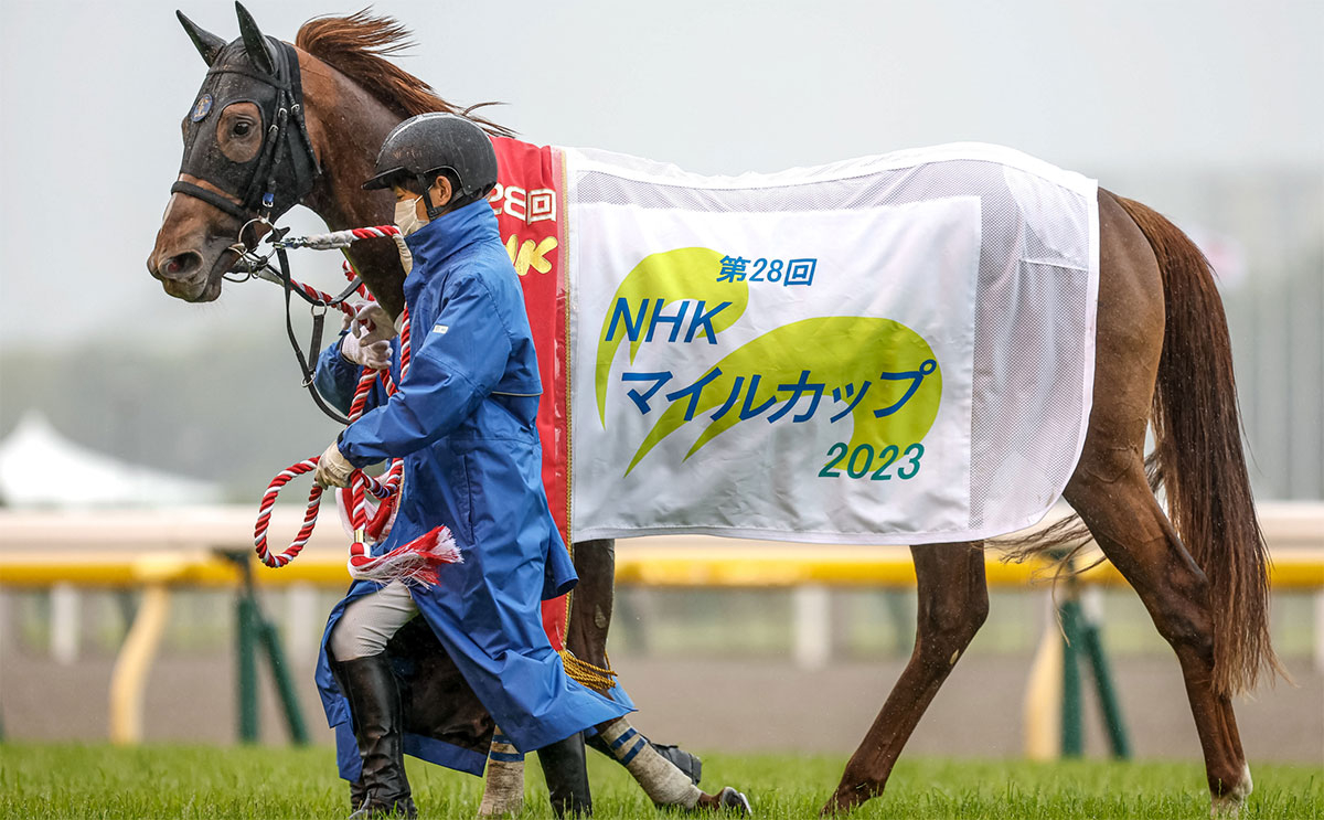 優勝の馬服を着て引かれているシャンパンカラー(撮影：下野雄規)