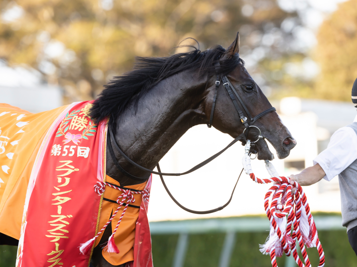 【京王杯スプリングカップ2023予想】東京芝1400mで好成績の騎手は？ 騎乗騎手の過去10年成績/競馬予想データ