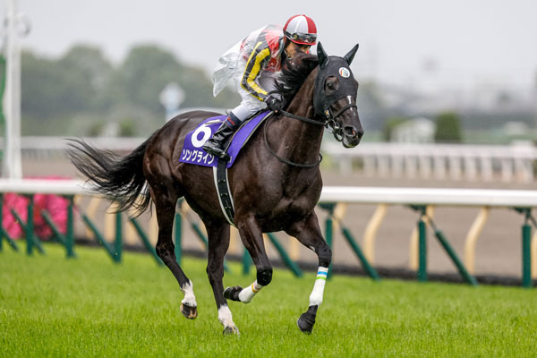 返し馬に向かうソングライン(撮影：下野雄規)