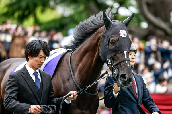 パドックでの表情(撮影：下野雄規)