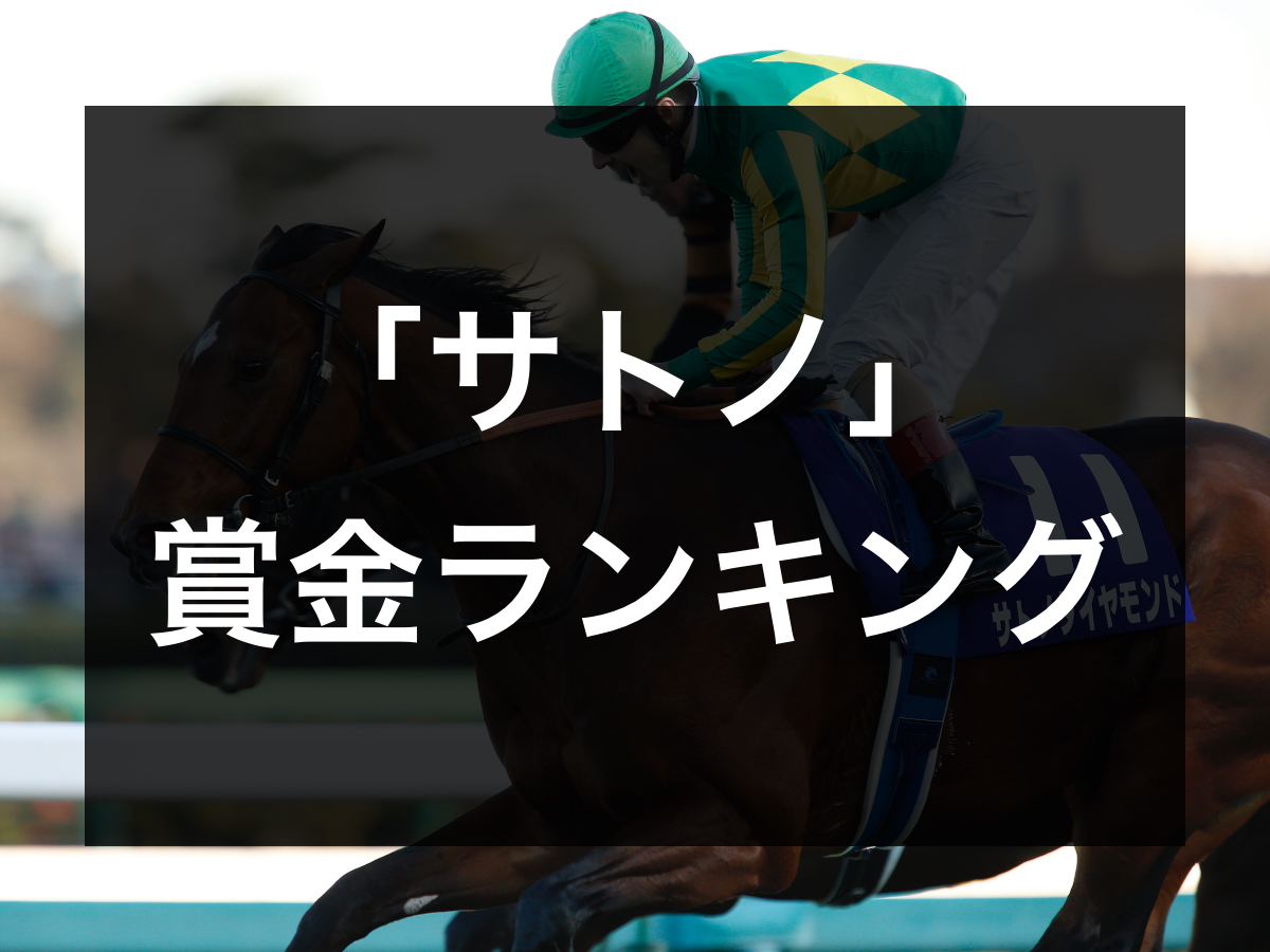 有馬記念制覇時のサトノダイヤモンド(撮影：下野雄規)