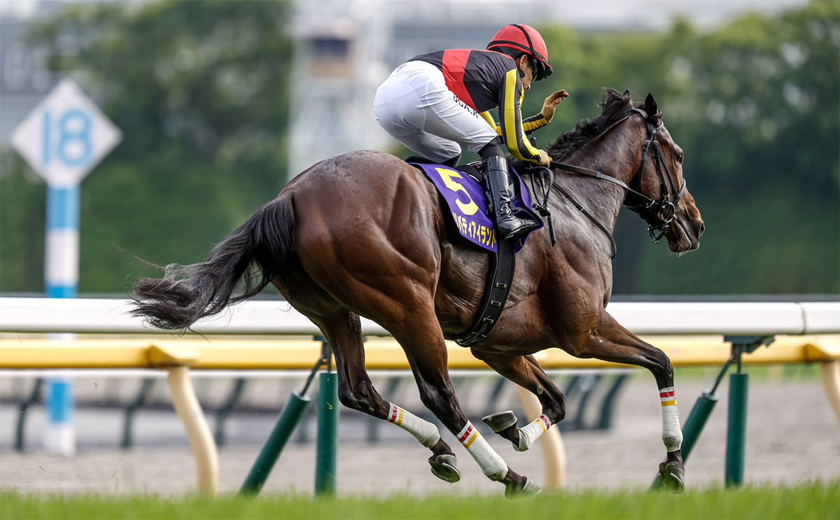 ゴール後、リバティアイランドをねぎらう川田将雅騎手(撮影：下野雄規)