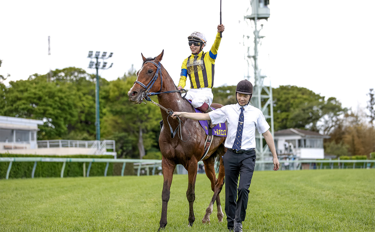 無敗の2冠馬狙うソールオリエンス(撮影：下野雄規)