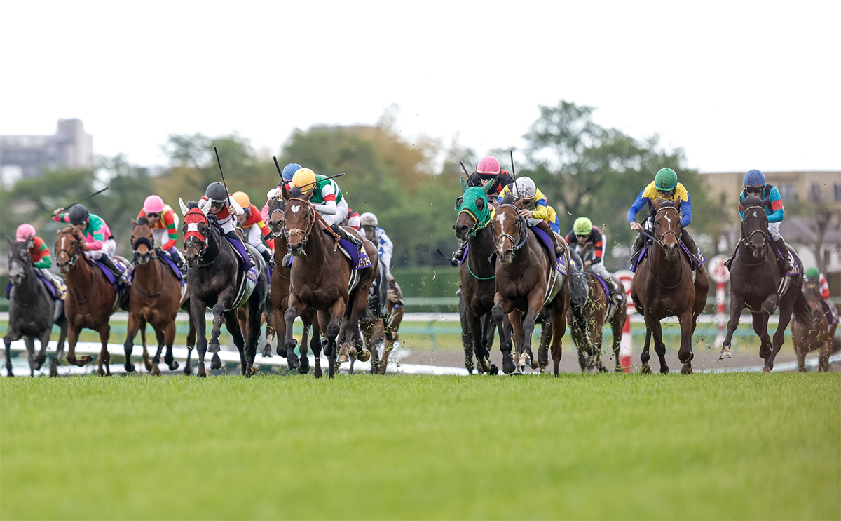 【日本ダービー 2023 出走馬まとめ】大一番へ挑む精鋭18騎のプロフィールまとめ