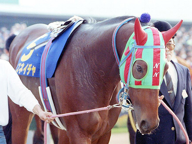 ナイスネイチャ情報まとめ 2023年5月30日に35歳で大往生 有馬記念3年連続3着などファンに愛された個性派