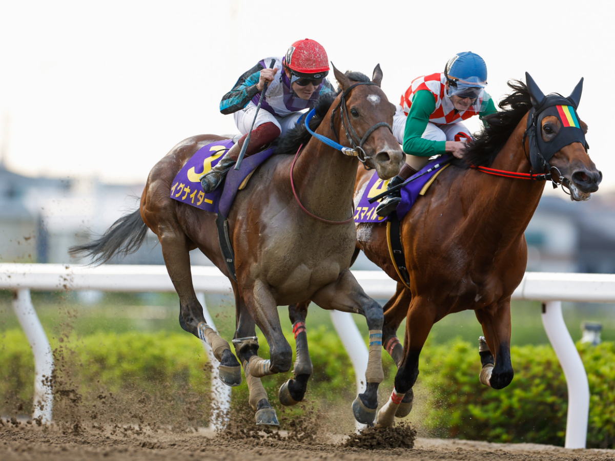 【さきたま杯2023結果】兵庫のイグナイターが優勝！2着に船橋のスマイルウィ 1番人気シャマルは競走中止