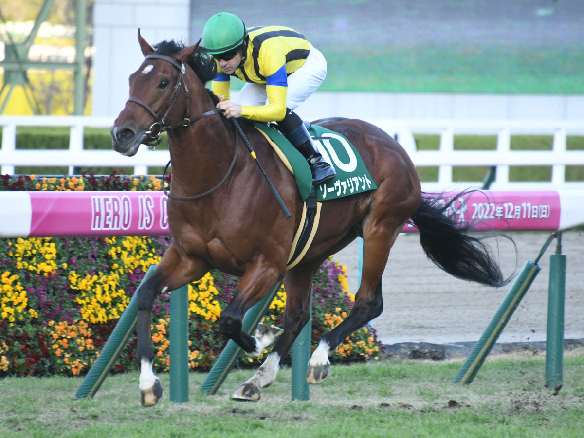 【鳴尾記念2023予想】阪神芝2000mで好成績の騎手は？ 騎乗騎手の過去10年成績/競馬予想データ