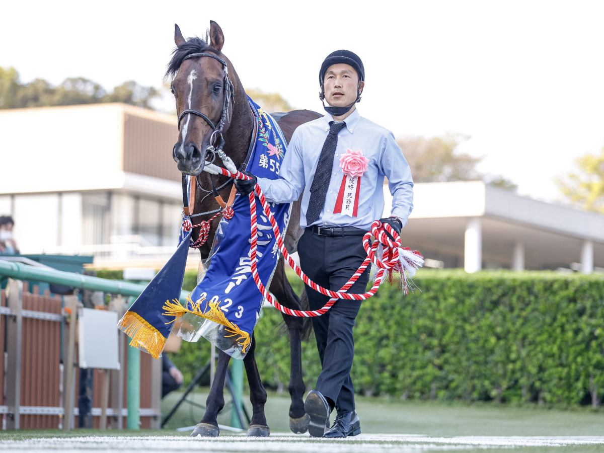 【エプソムカップ2023予想】東京芝1800mで好成績の騎手は？ 騎乗騎手の過去10年成績/競馬予想データ