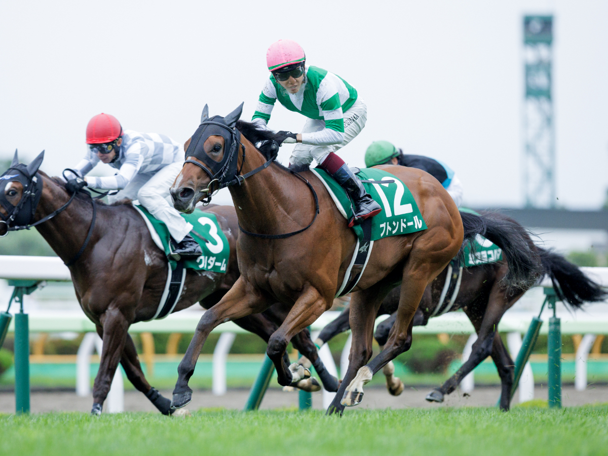 【函館スプリントステークス2023予想】函館芝1200mで好成績の騎手は？ 騎乗騎手の過去10年成績/競馬予想データ