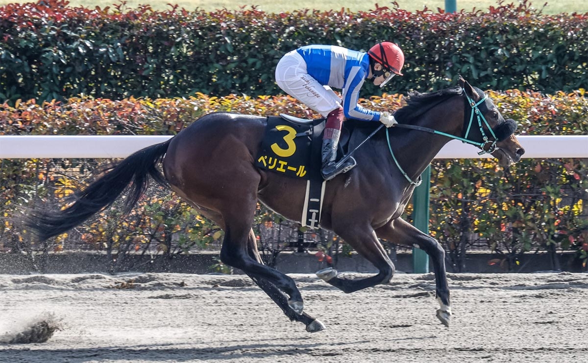 同じコースのヒヤシンスSを制しているペリエール(撮影：下野雄規)