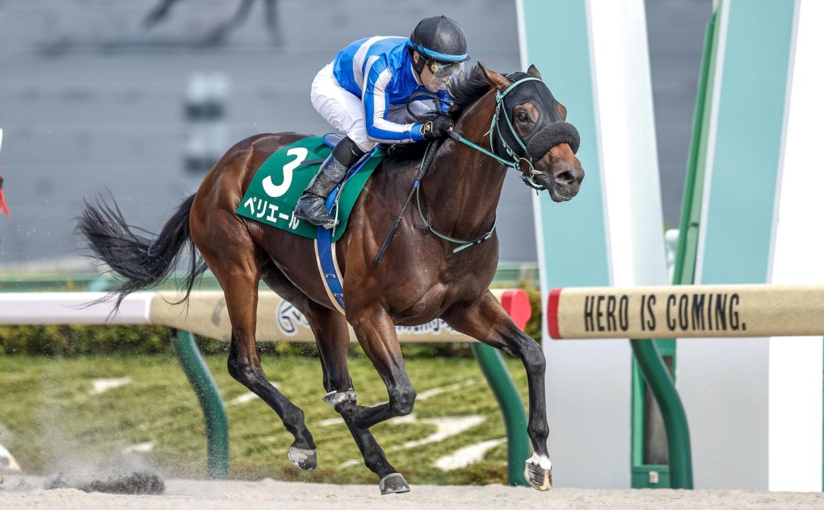 【ユニコーンステークス 結果情報】ペリエールが3馬身差で圧勝、重賞初制覇！