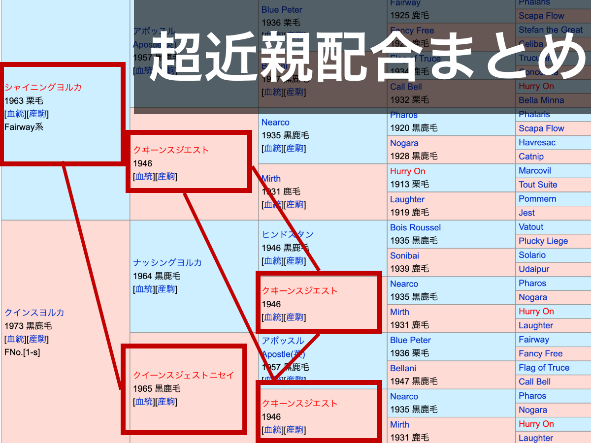 超近親配合を持つ競走馬・種牡馬・繁殖牝馬まとめ 「1×1」のインブリードを持つ繁殖牝馬など最新情報【危険な配合】