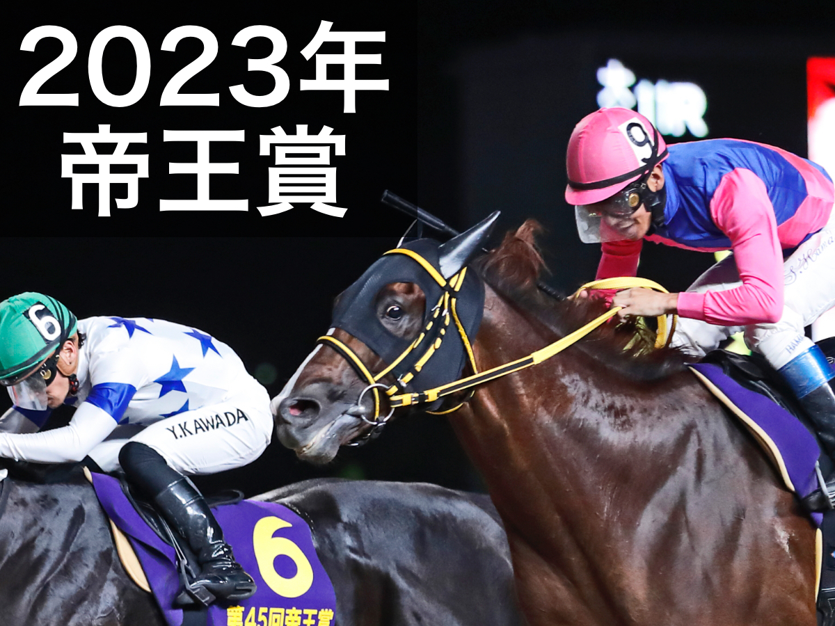 2022年帝王賞覇者メイショウハリオ(撮影：高橋正和)