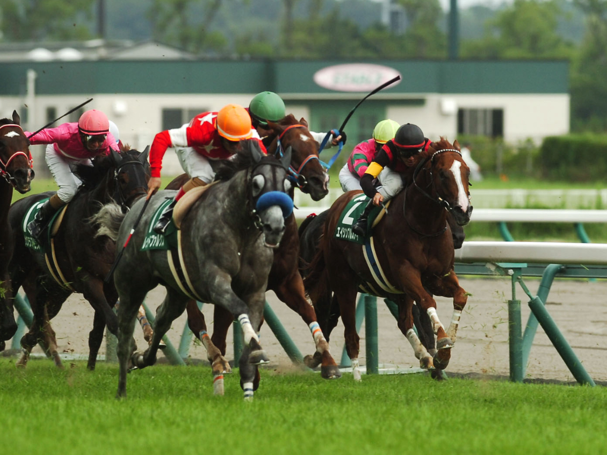 【CBC賞2023予想】中京芝1200mで行われた過去10回の枠番・馬番の成績 / 競馬予想データ