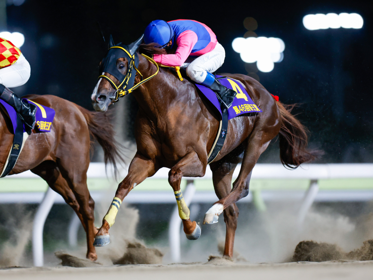 史上初となる帝王賞連覇を飾ったメイショウハリオ(撮影：高橋正和)