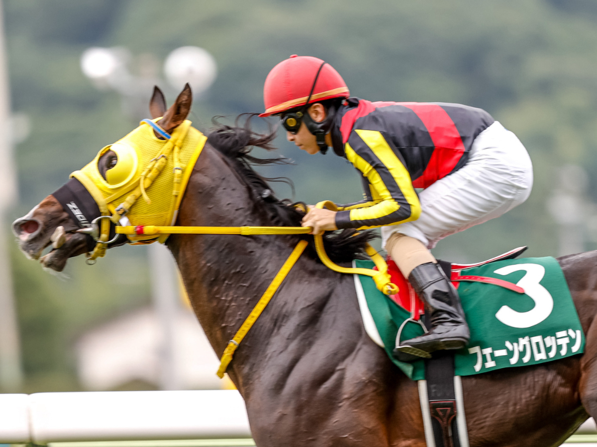 【ラジオNIKKEI賞2023予想】有利な枠順は？ 過去10年間の枠番・馬番の成績/競馬予想データ