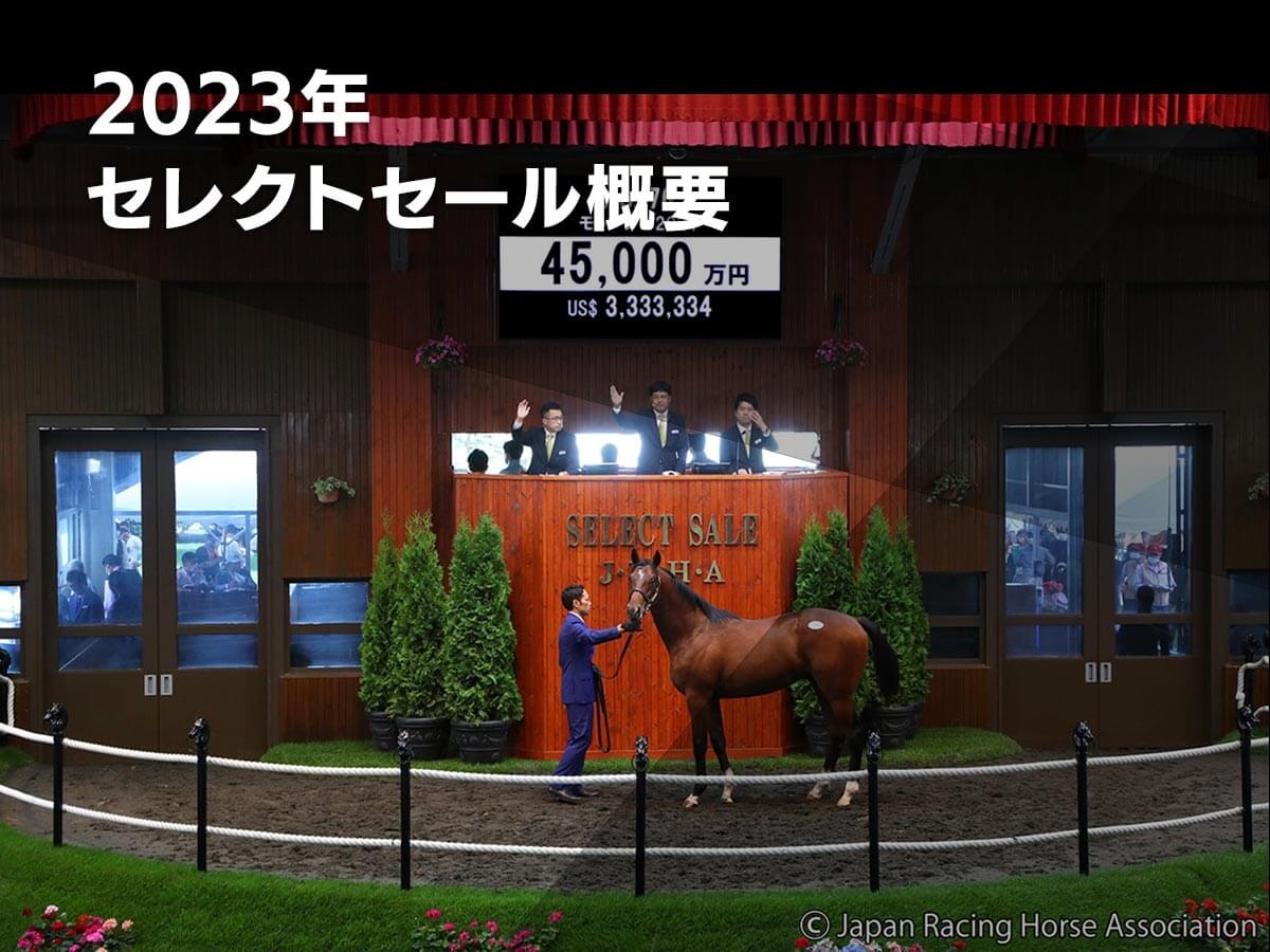 【セレクトセール2023特集】概要・結果速報・注目馬・高額馬・上場馬一覧など