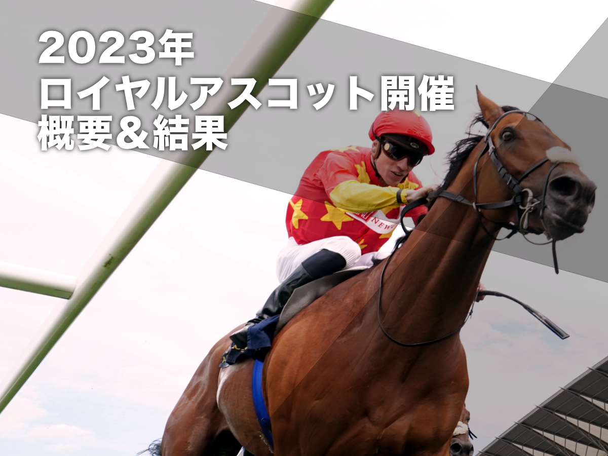 2022年のプリンスオブウェールズS覇者ステートオブレスト(提供：At The Races)