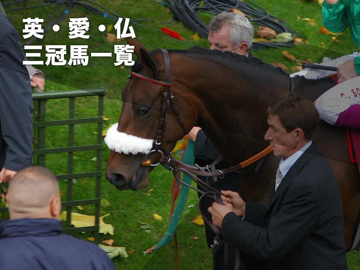 2008年にフランス牝馬三冠を達成したザルカヴァ