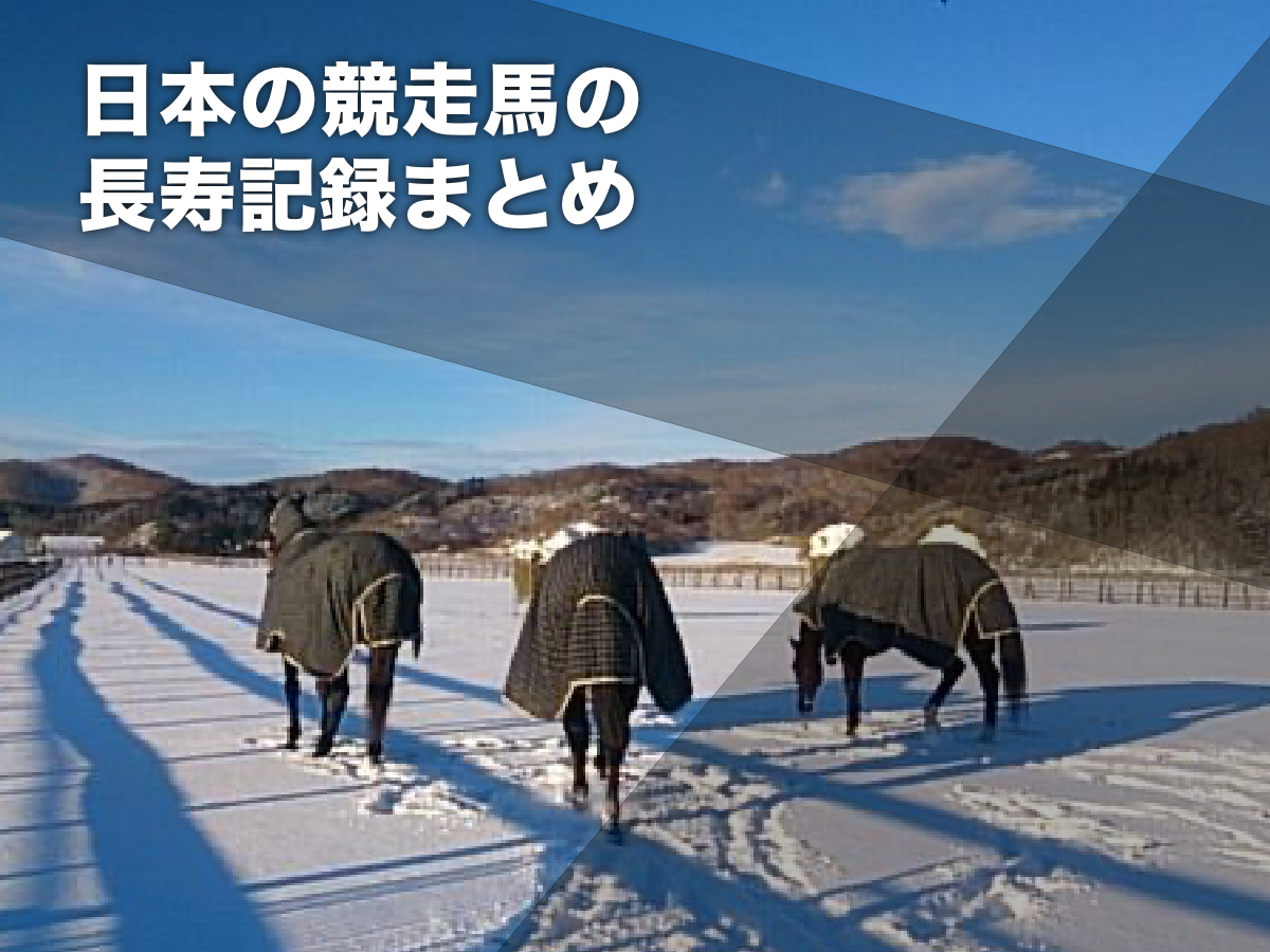 日本競馬における長寿記録