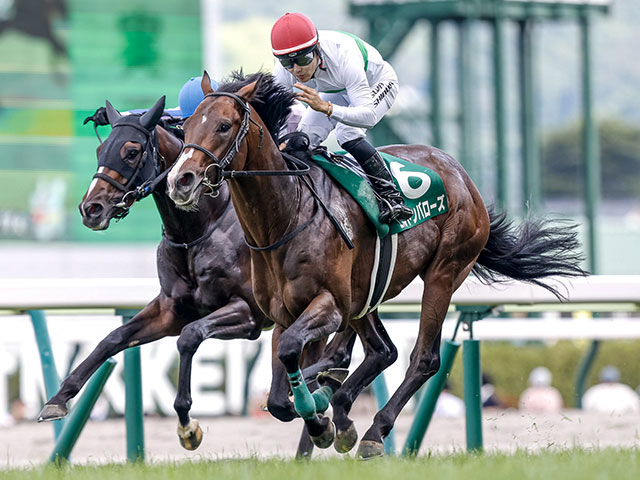 ラジオNIKKEI賞を制したエルトンバローズ(撮影：下野雄規)