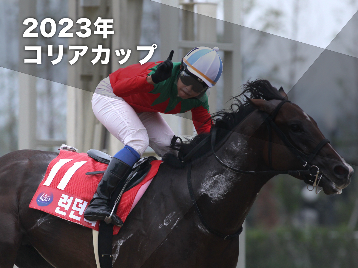 コリアカップ連覇を飾ったロンドンタウン(撮影：稲葉訓也)