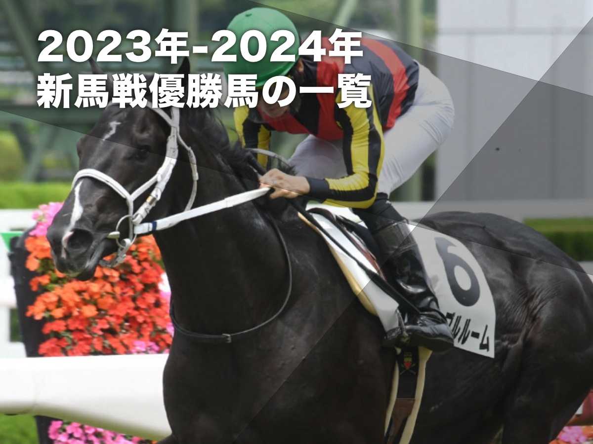 イクイノックス メイクデビュー新潟 2歳新馬戦 2021年8月28日