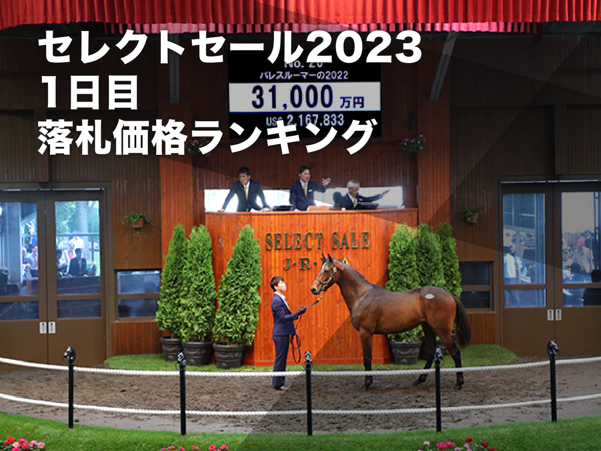 3億1000万円で落札された「パレスルーマーの2022」(提供：日本競走馬協会)