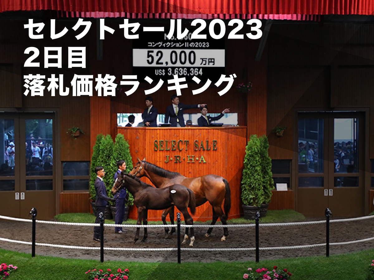 コンヴィクションIIの2023は5億2000万円でノースヒルズが落札(提供：日本競走馬協会)