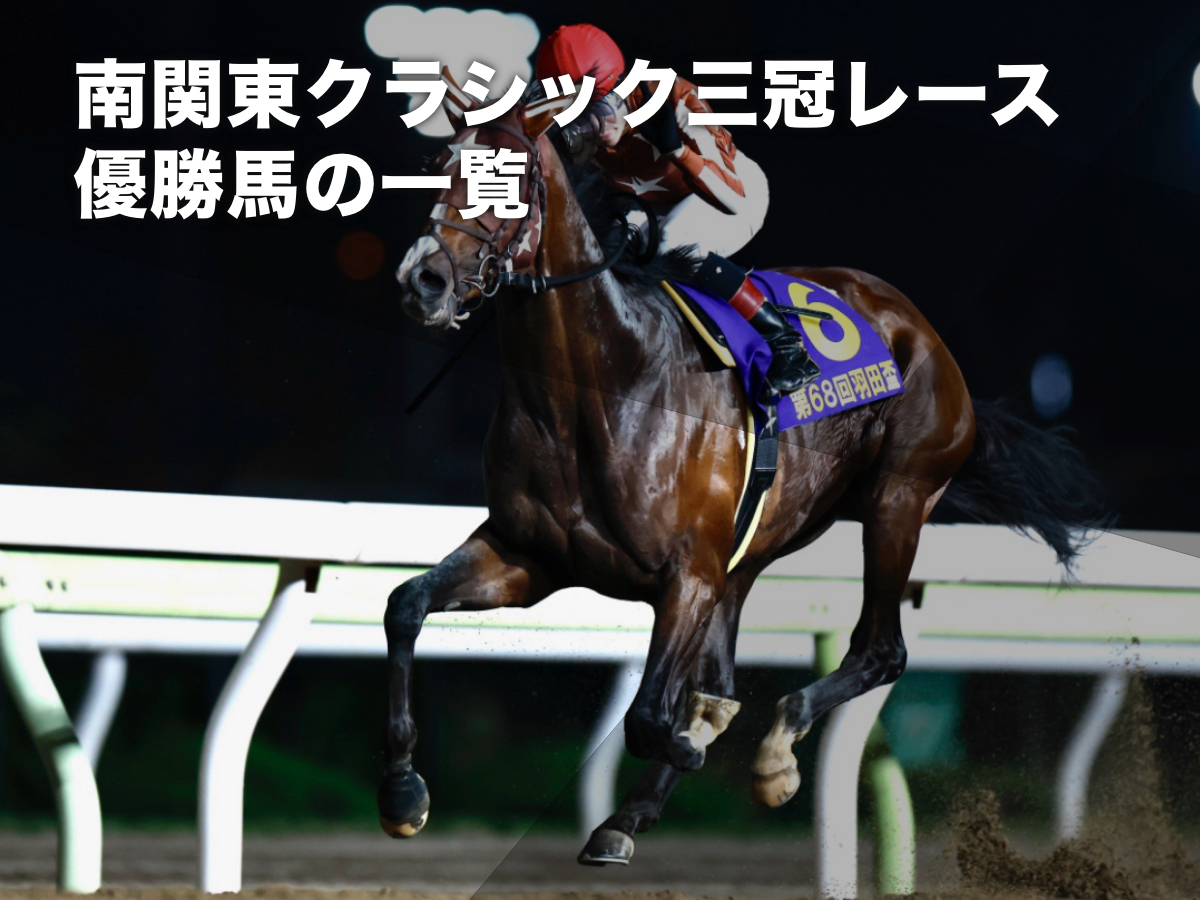 2023年羽田盃を6馬身差で圧勝したミックファイア(撮影：高橋正和)