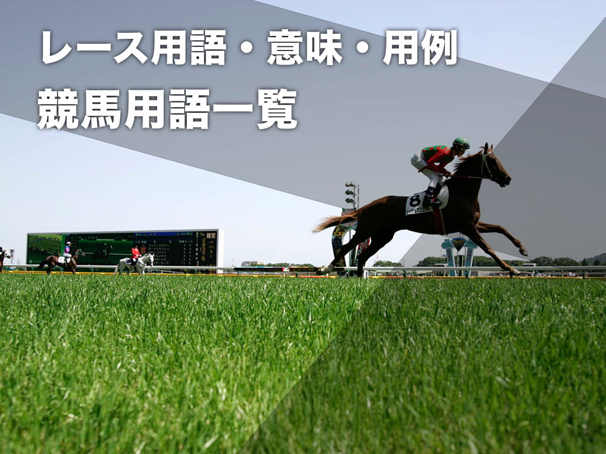 東京競馬場の様子