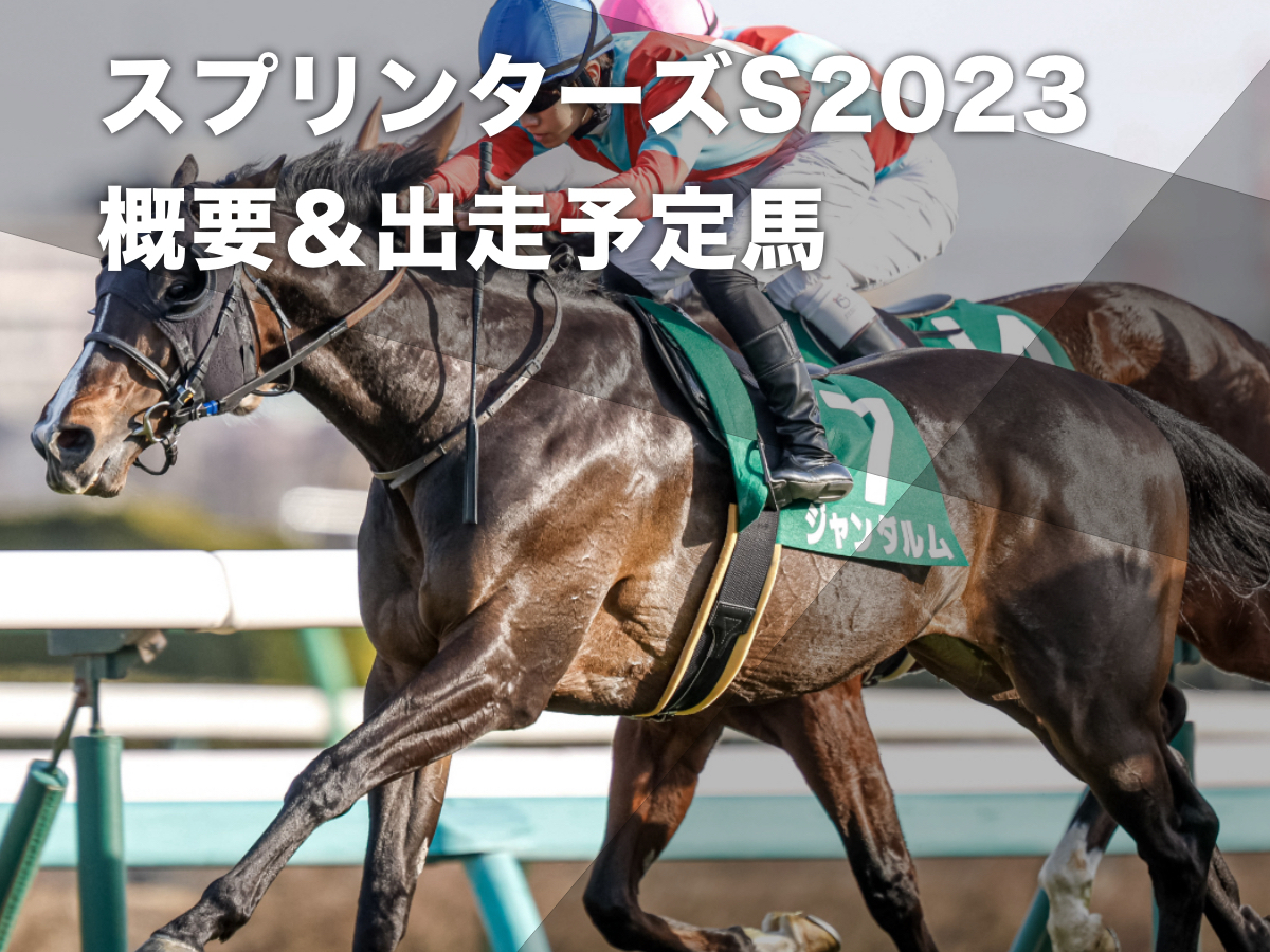 【スプリンターズステークス2023】出走予定馬・日程・レース概要・最新ニュースまとめ フルゲートは16頭