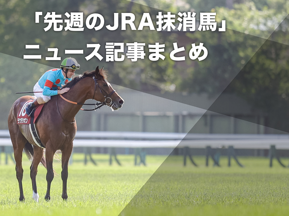 豪州への移籍が決定したG1馬ラウダシオン(撮影：下野雄規)