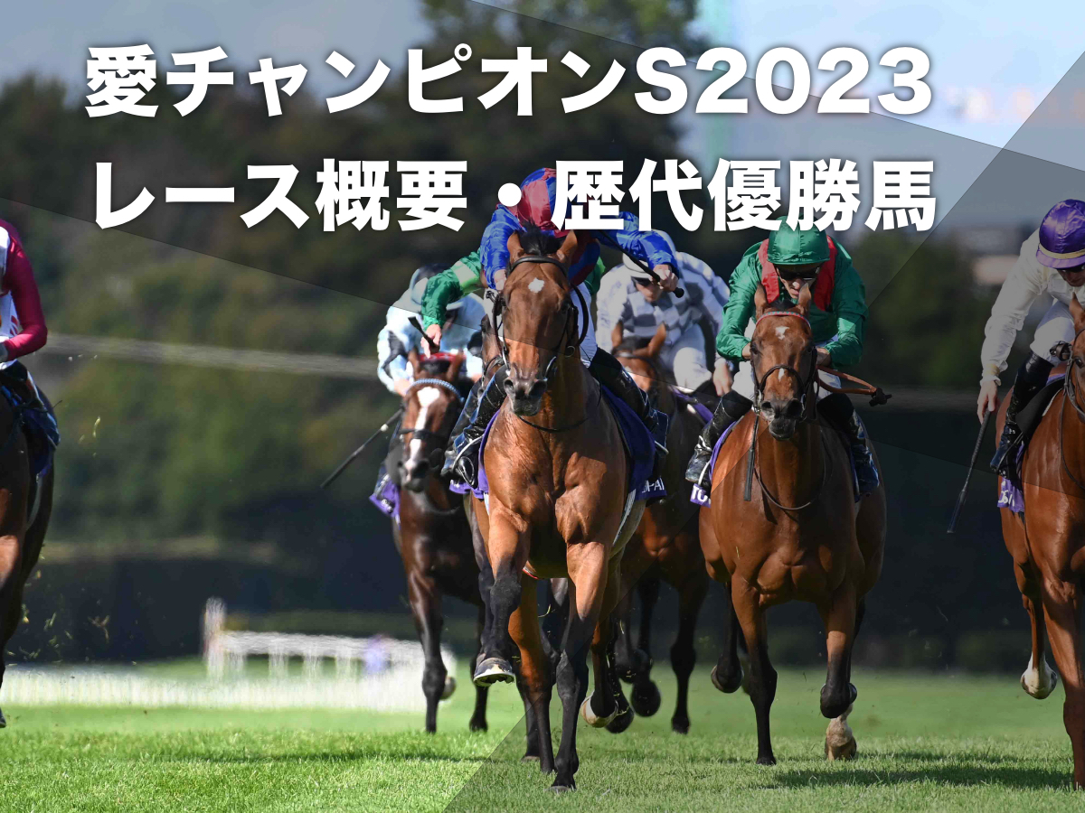 2022年の愛チャンピオンステークス覇者ルクセンブルク(提供：At The Races)