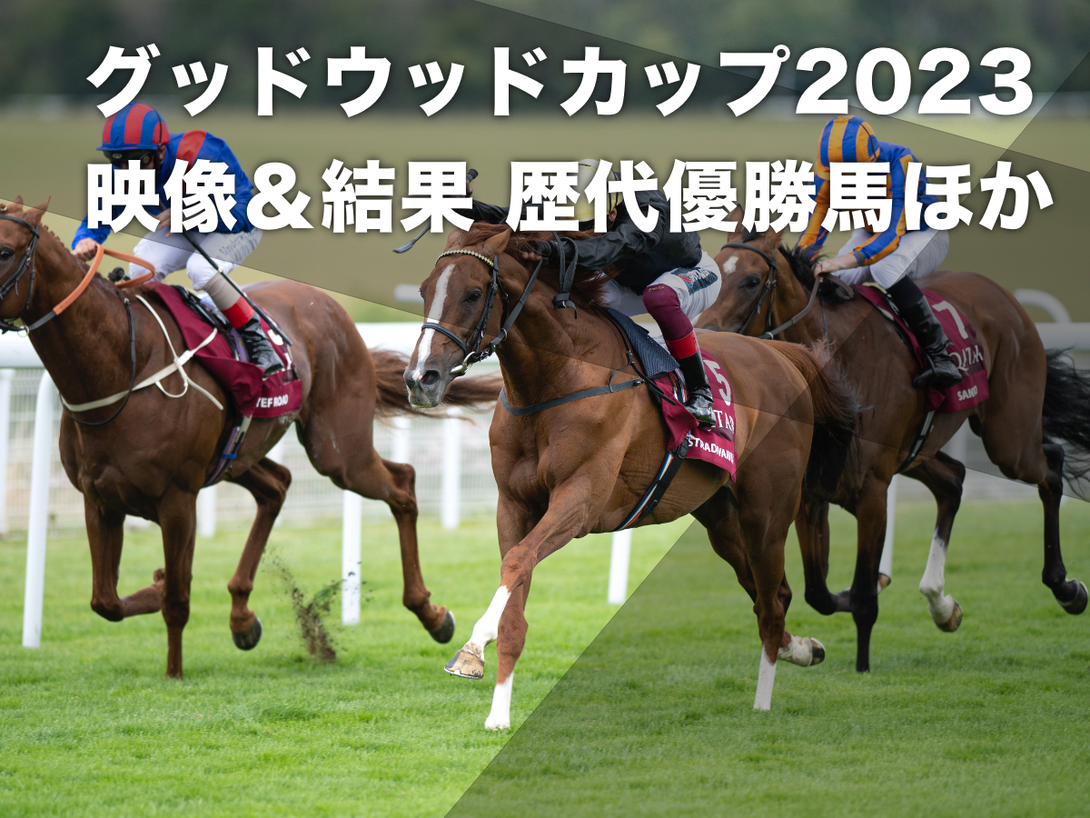 グッドウッドカップ4連覇を飾ったストラディヴァリウス(提供：(C)Racingpost/T.I.S.)