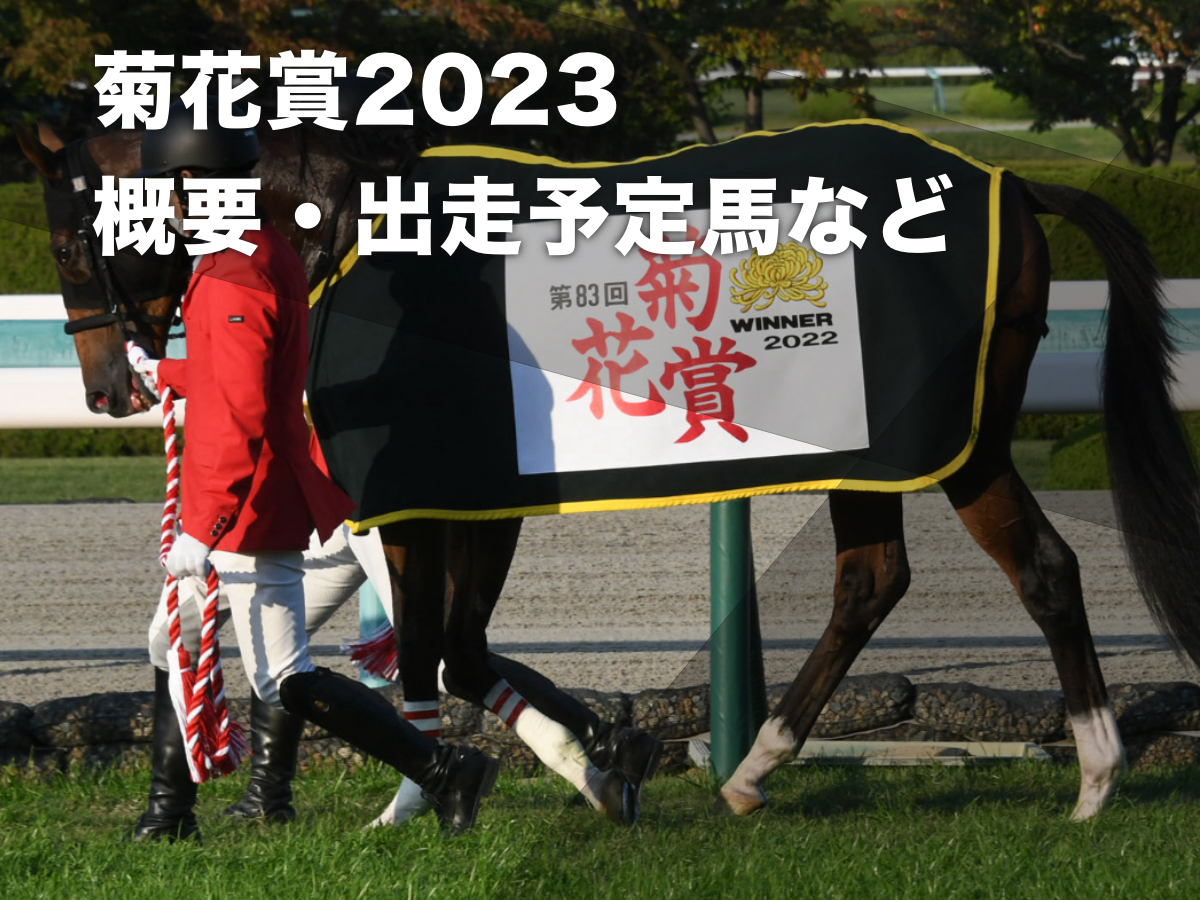 【菊花賞2023】出走想定馬17頭・日程・レース概要・最新ニュースまとめ 日本ダービー馬タスティエーラ＆皐月賞馬ソールオリエンスが参戦