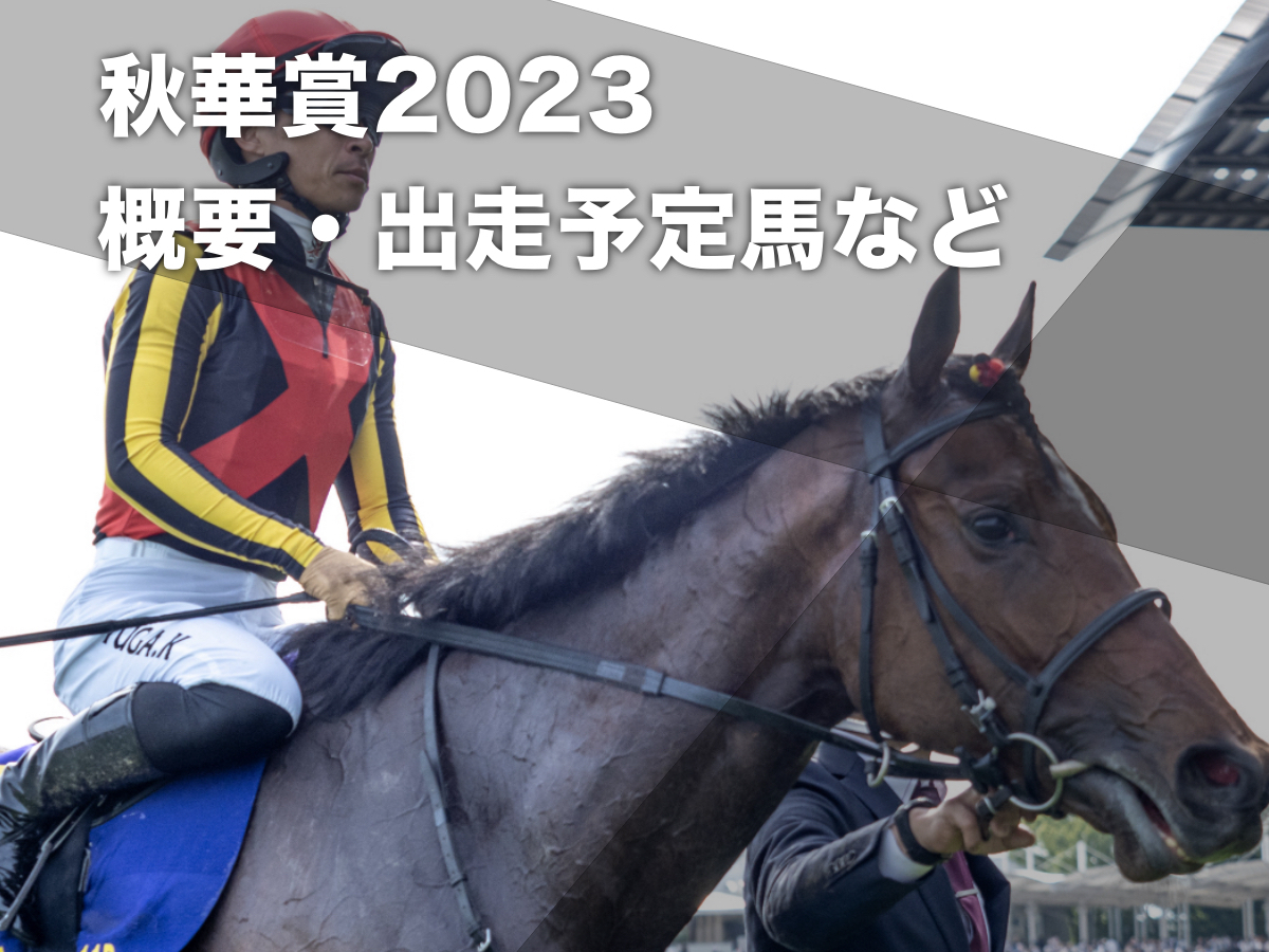 【秋華賞2023】出走予定馬・賞金ボーダー・日程・レース概要・最新ニュースまとめ
