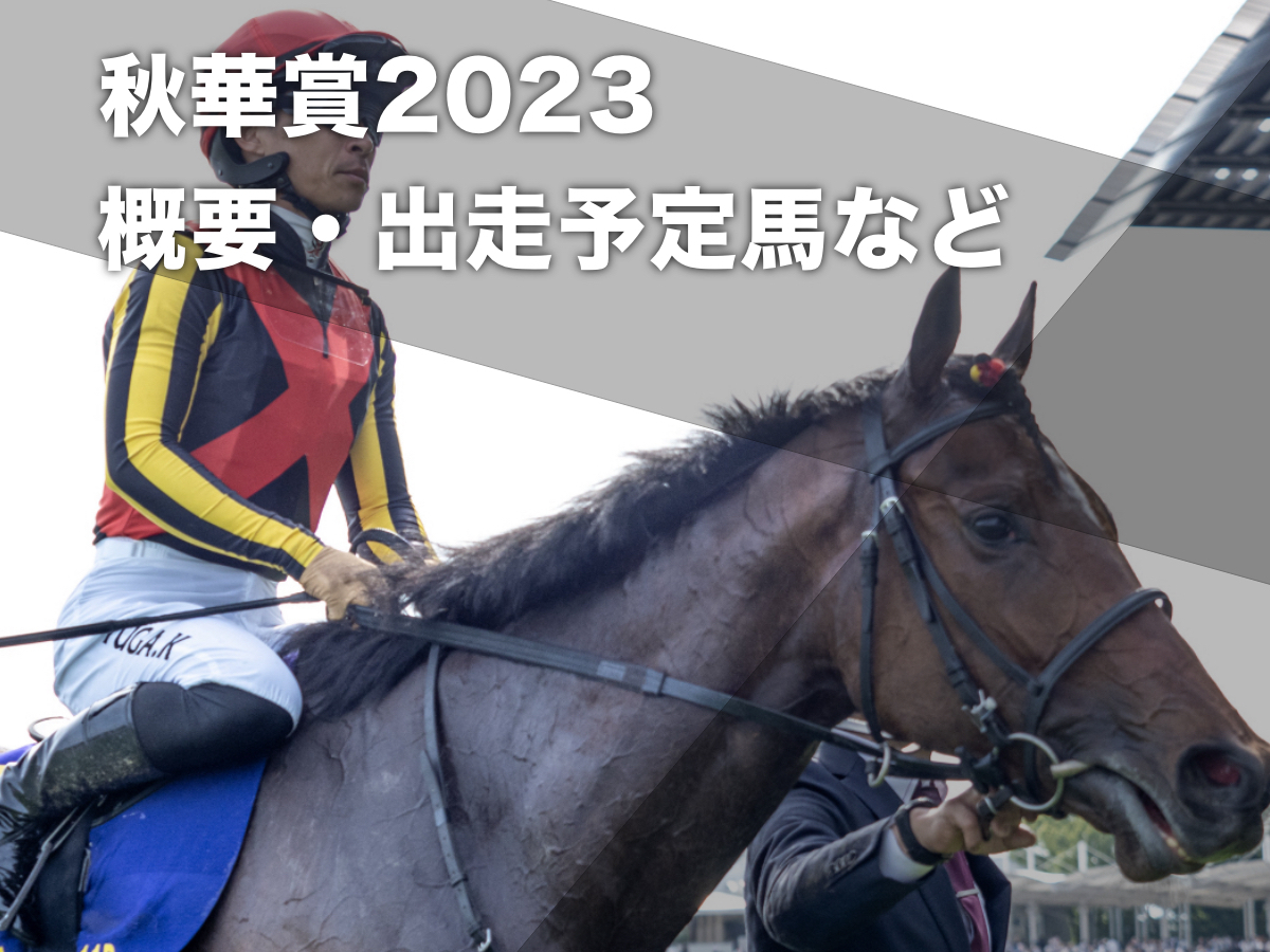 史上7頭目の牝馬三冠を狙うリバティアイランド(撮影：下野雄規)