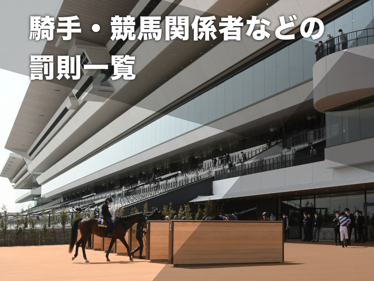 京都競馬場の様子(c)netkeiba