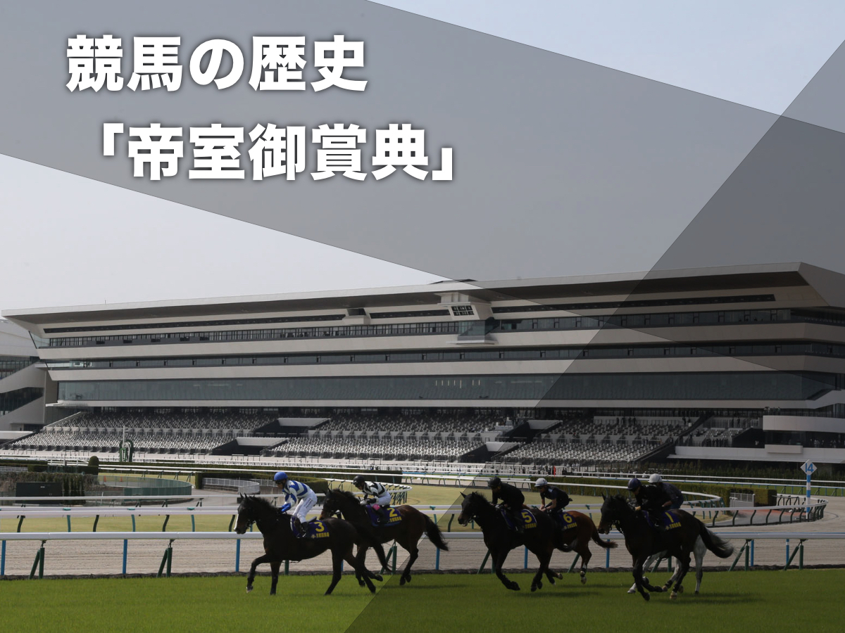 現在天皇賞(春)が行われている京都競馬場(c)netkeiba.com