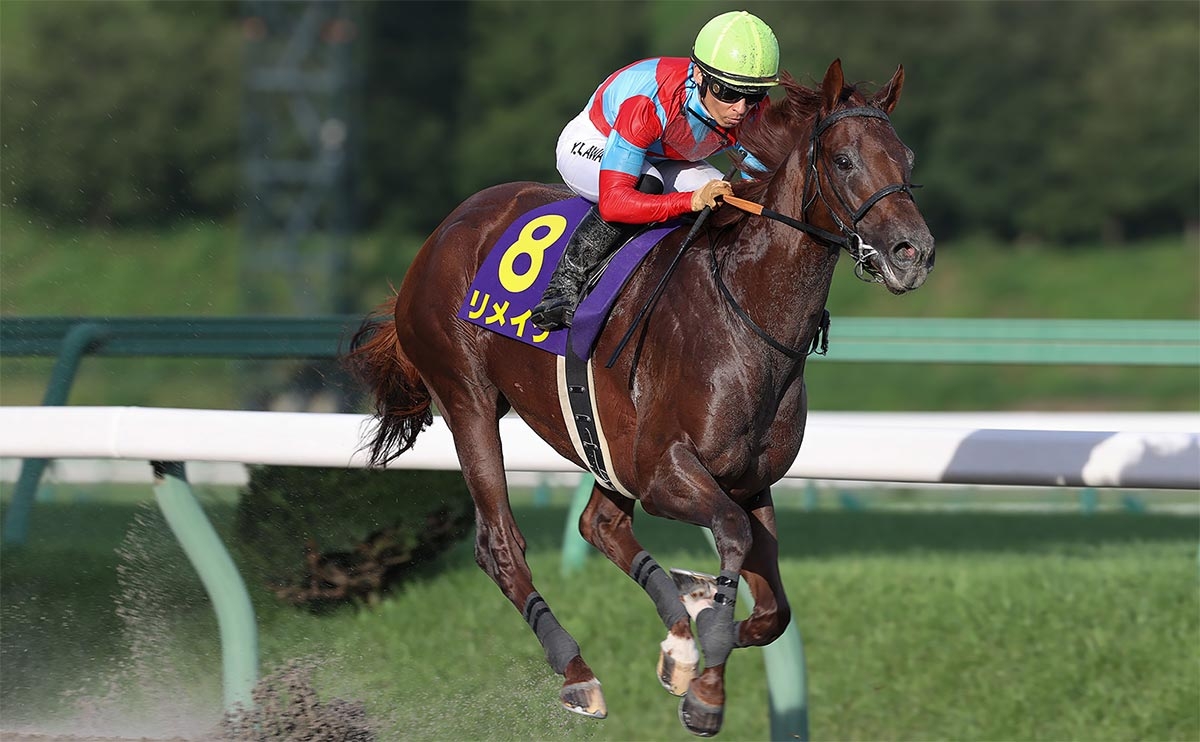 リメイクが人気に応え快勝(提供：岩手県競馬組合)