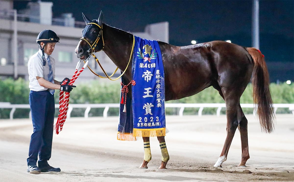 2023年帝王賞優勝馬メイショウハリオ(撮影：高橋正和)