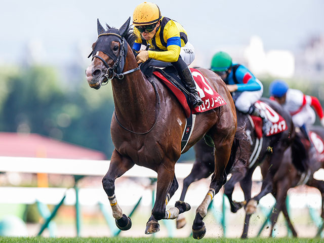 【札幌記念 結果情報】プログノーシスが豪華メンツをぶっちぎり4馬身差の圧勝！