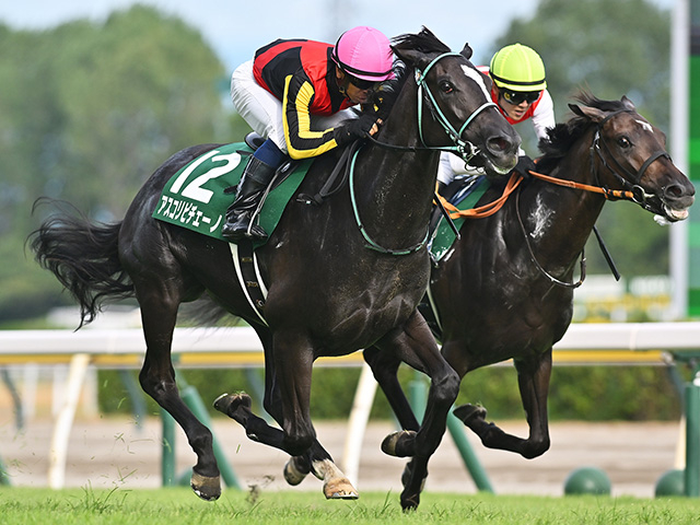 新潟2歳ステークスを制したアスコリピチェーノ(撮影：小金井邦祥)