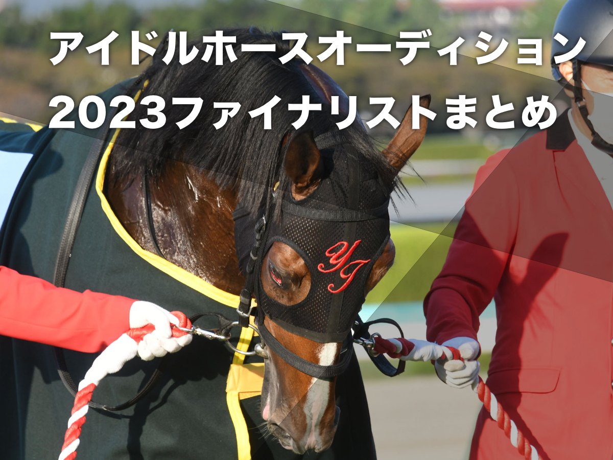 2022年菊花賞覇者アスクビクターモア(c)netkeiba.com