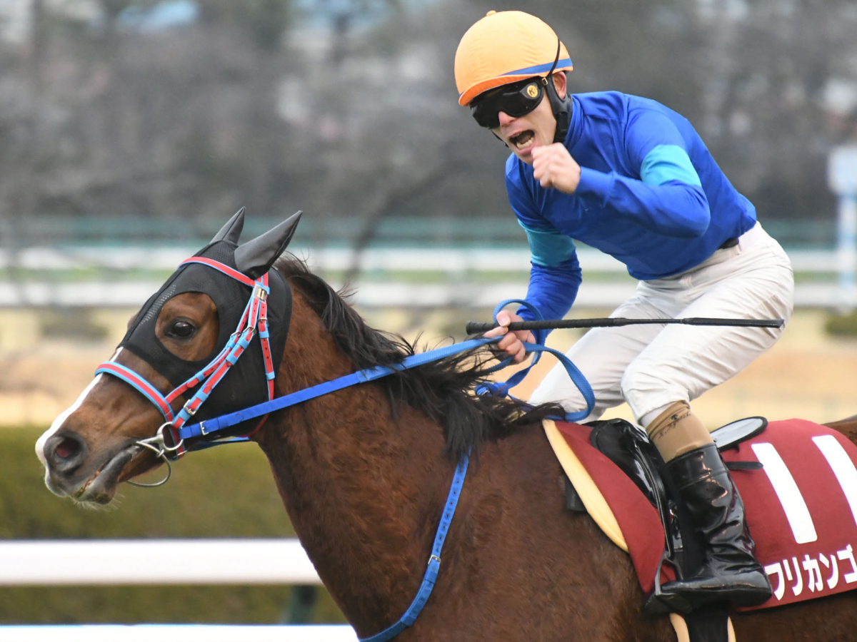 Amazon.co.jp: アイドルホース 優駿牝馬オークス優勝馬
